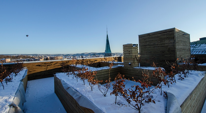 Pilestredet 77-79 med MøreRoyal terrasser